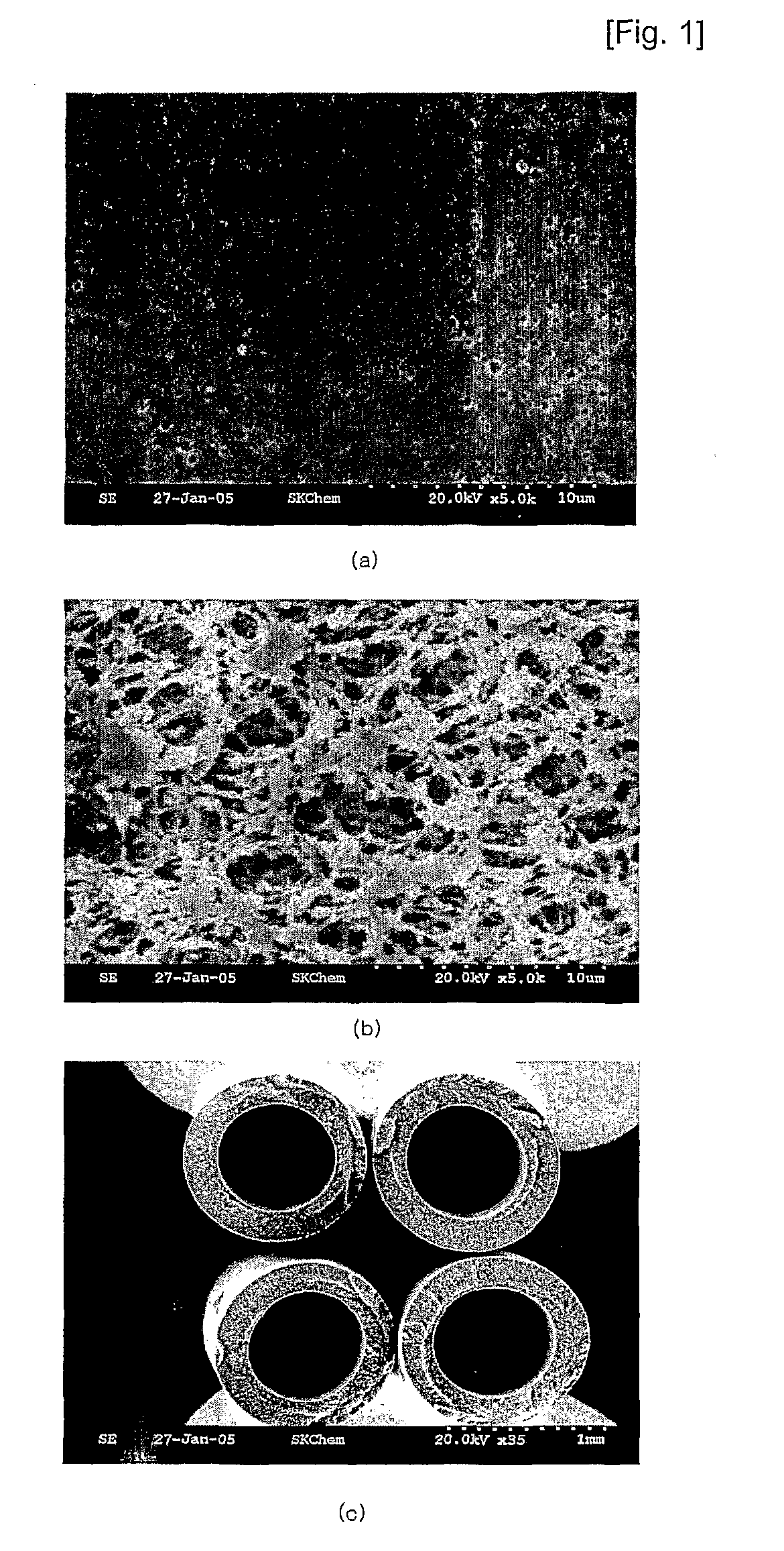 Hollow Fiber Membrane and Preparing Method Thereof