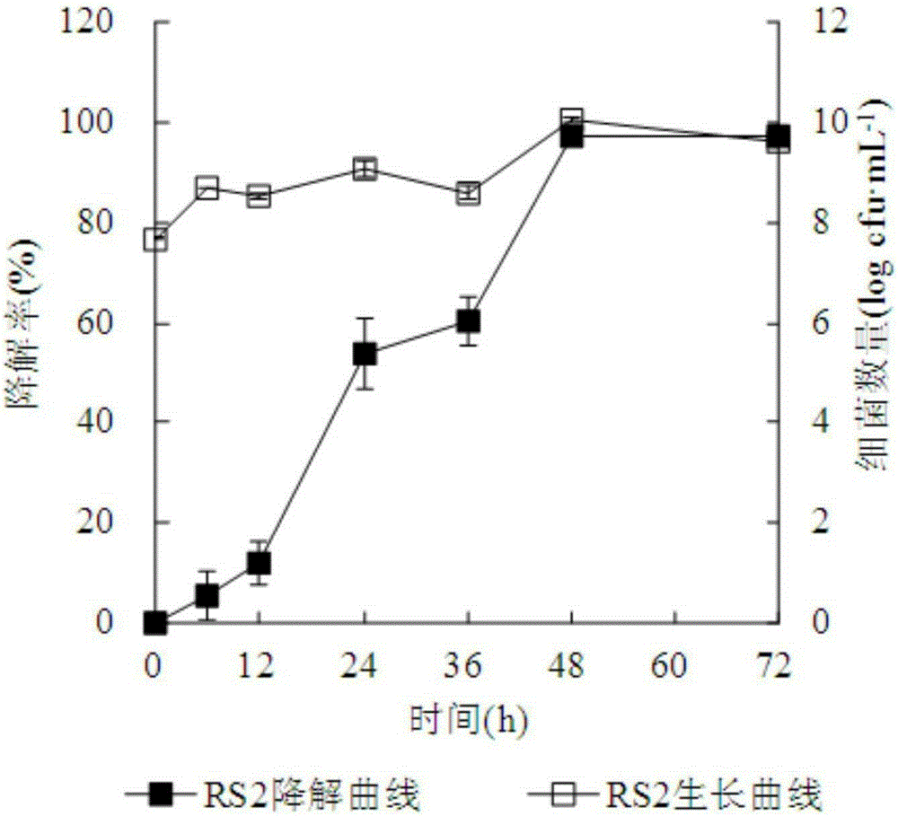 Root surface film forming bacterium RS2 with phenanthrene degradation function and application of root surface film forming bacterium RS2