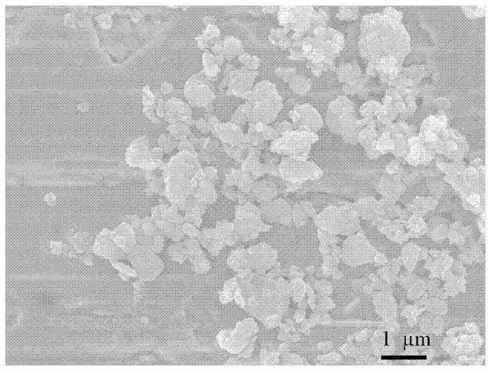 Black phosphorus-based composite negative electrode material, preparation method thereof and application of black phosphorus-based composite negative electrode material in metal secondary battery