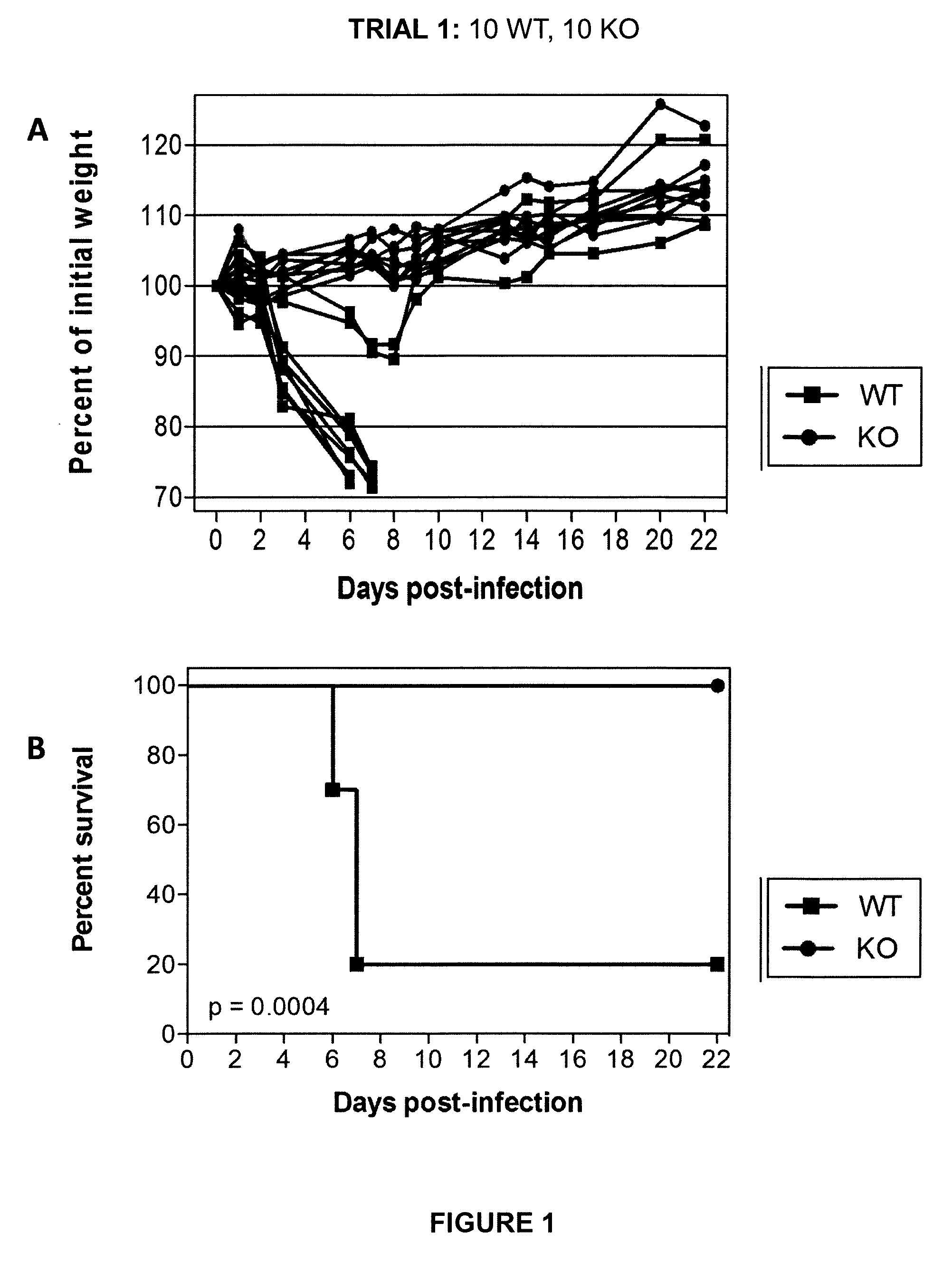 Methods for treating or preventing influenza virus infection by administering a serine protease inhibitor