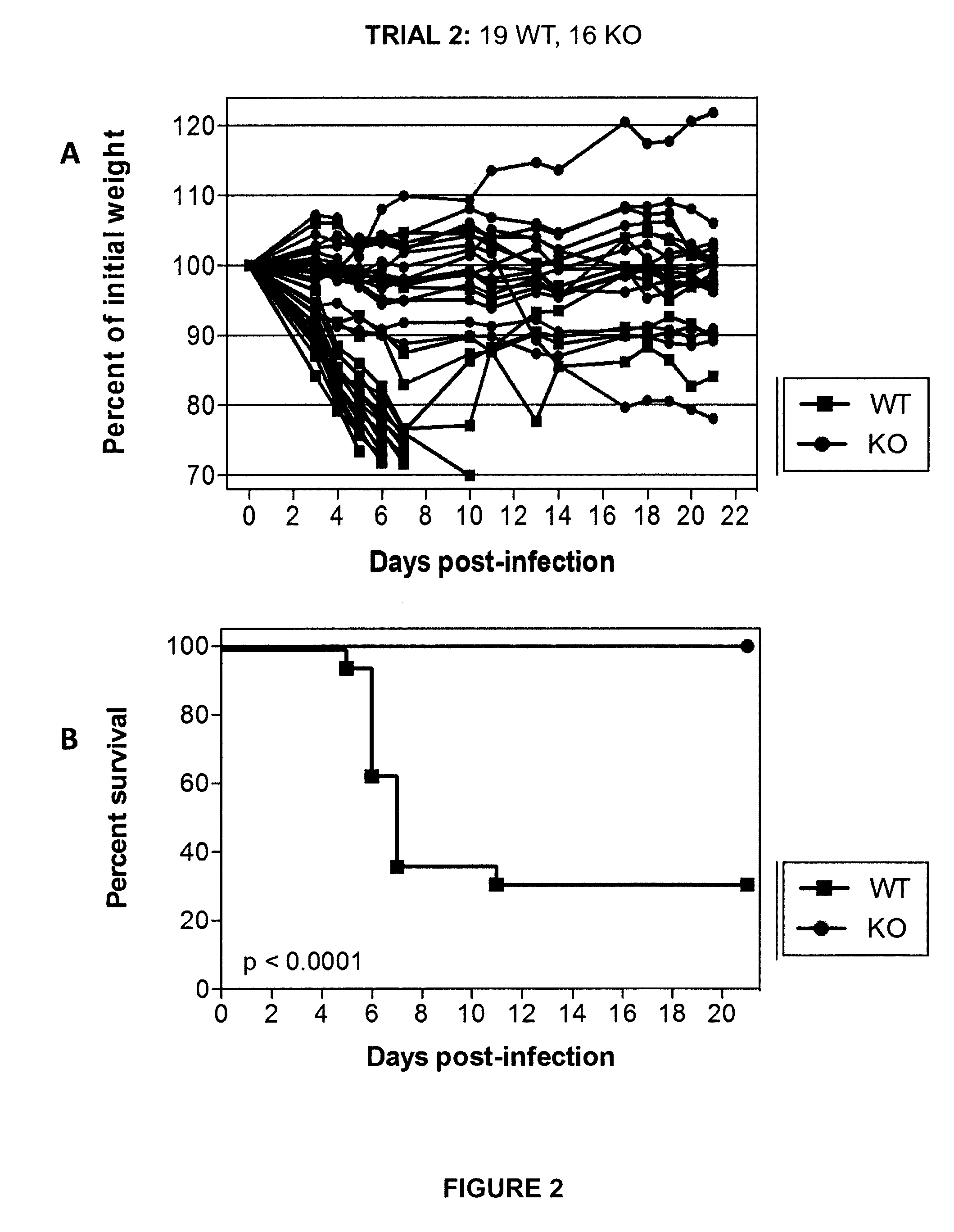 Methods for treating or preventing influenza virus infection by administering a serine protease inhibitor