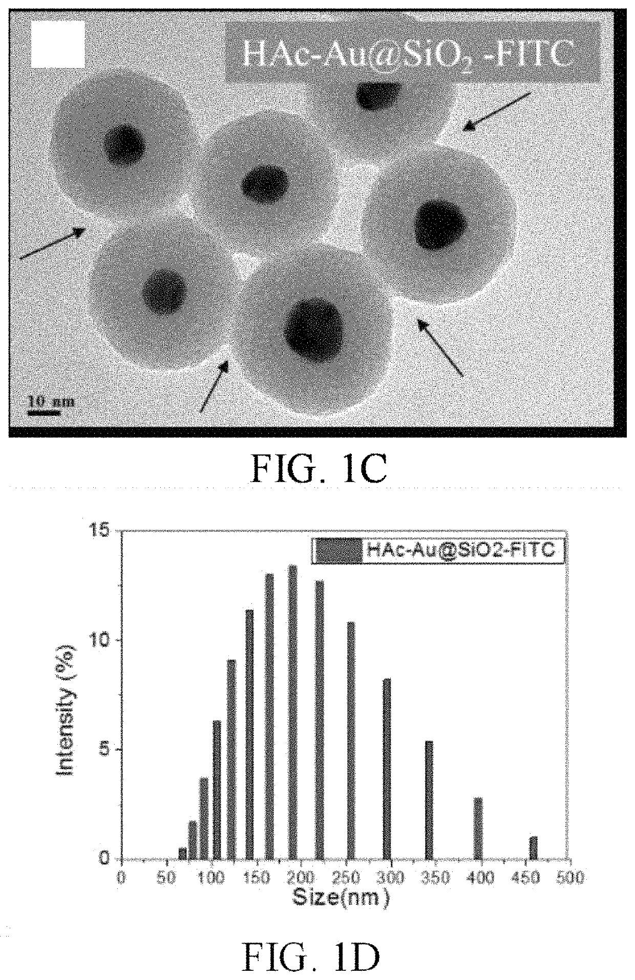 Therapy for glioblastoma multiforme