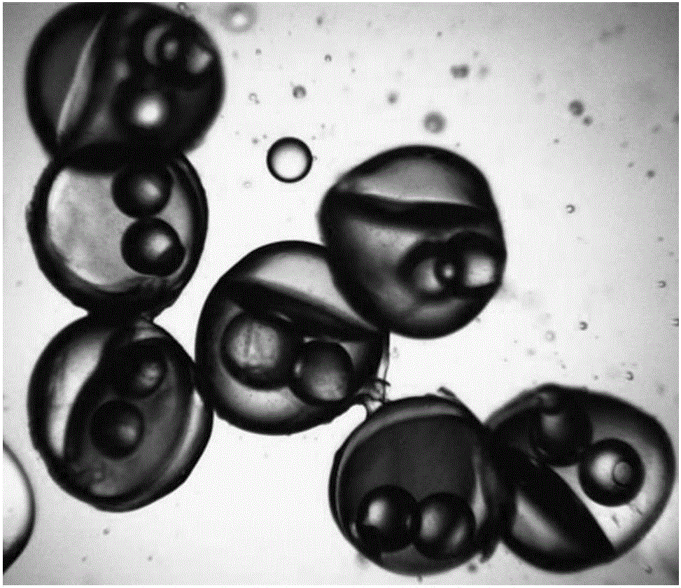 A kind of monodisperse polar heterogeneous janus core-shell structure gel microsphere and its preparation method and used microfluidic control device