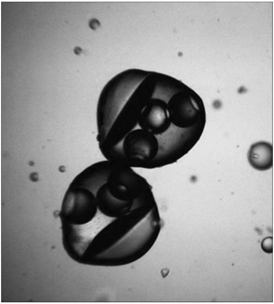 A kind of monodisperse polar heterogeneous janus core-shell structure gel microsphere and its preparation method and used microfluidic control device