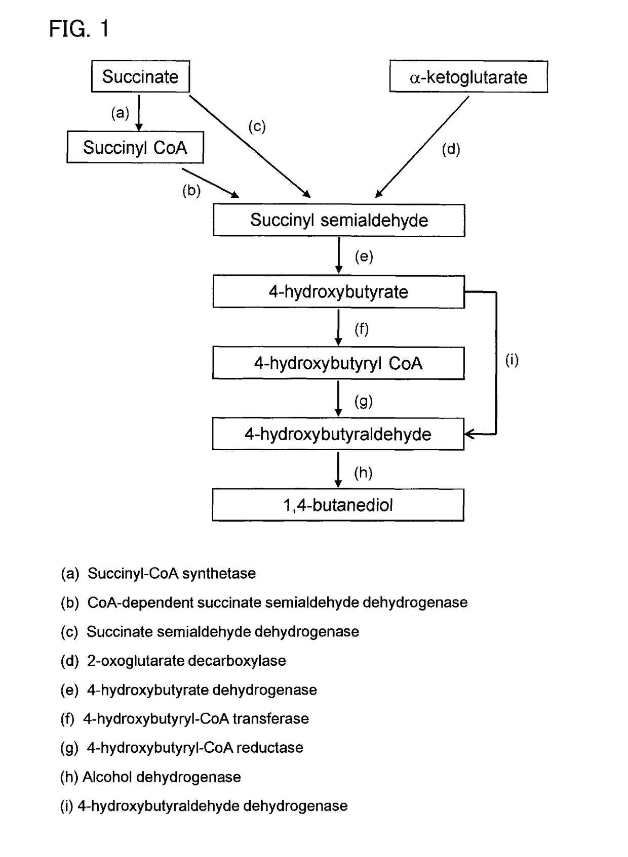 Recombinant cells, method for producing recombinant cells, and method for producing 1,4-butanediol