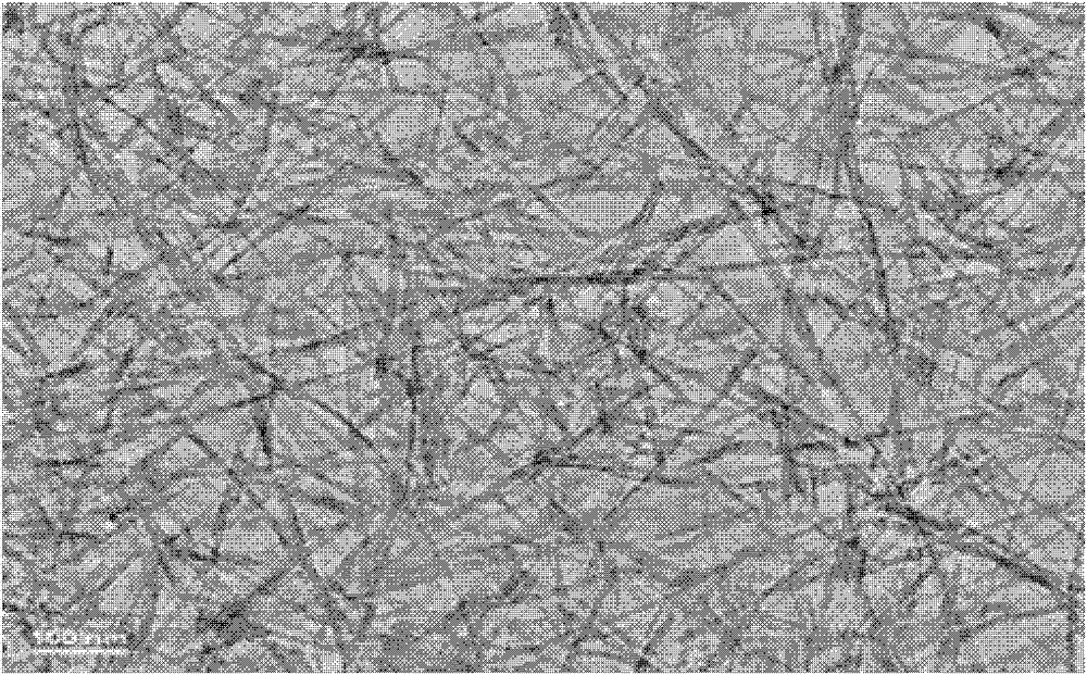 Sodium ion electrochemical capacitor