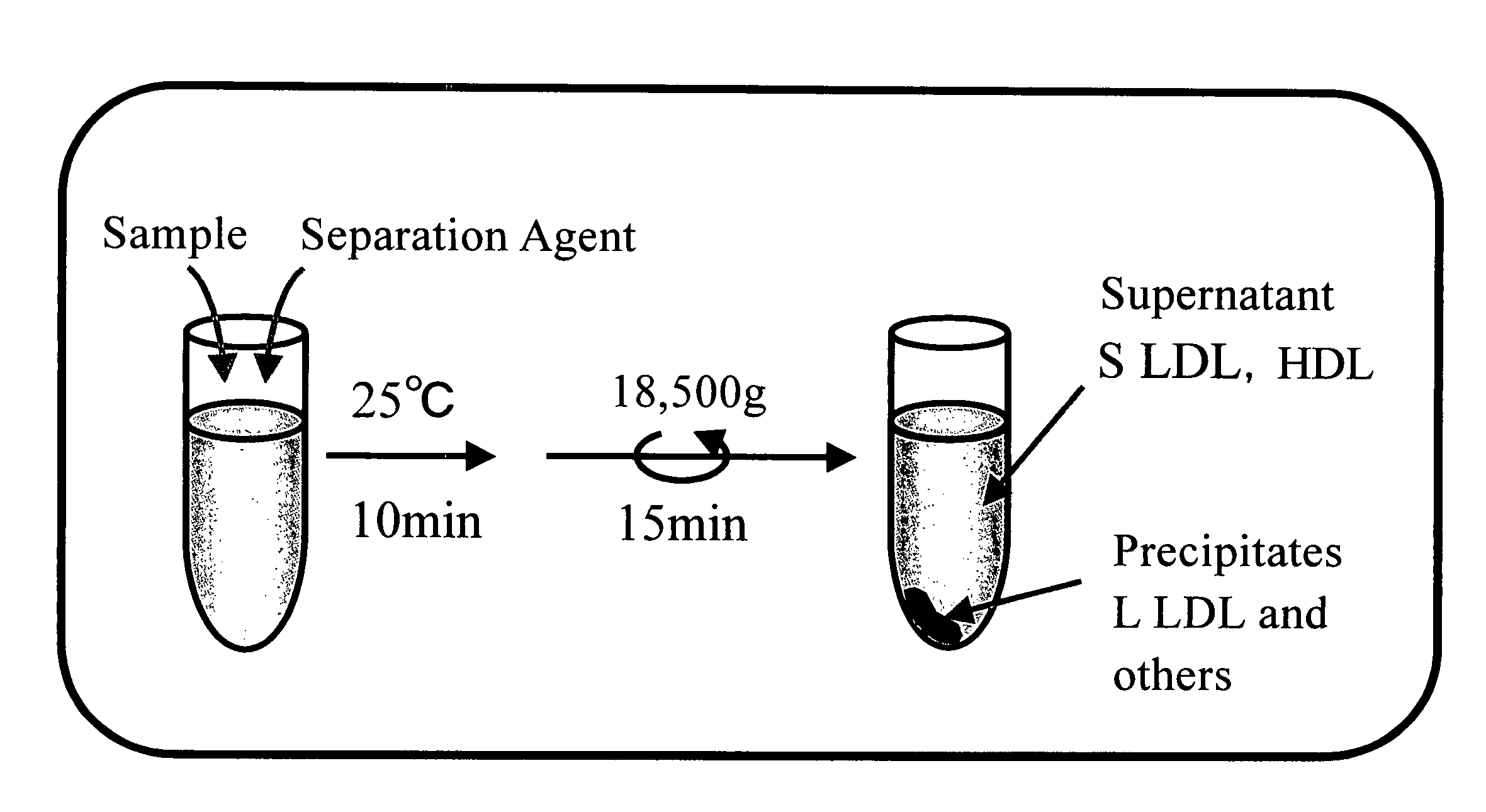 Method of quantifying small-sized low density lipoprotein