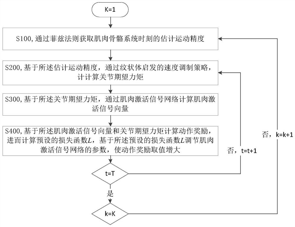 Musculoskeletal system control method and system based on speed precision balance and device