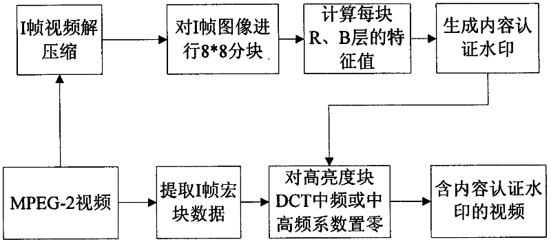 Video tampering detection method based on compressed sensing semi fragile watermark