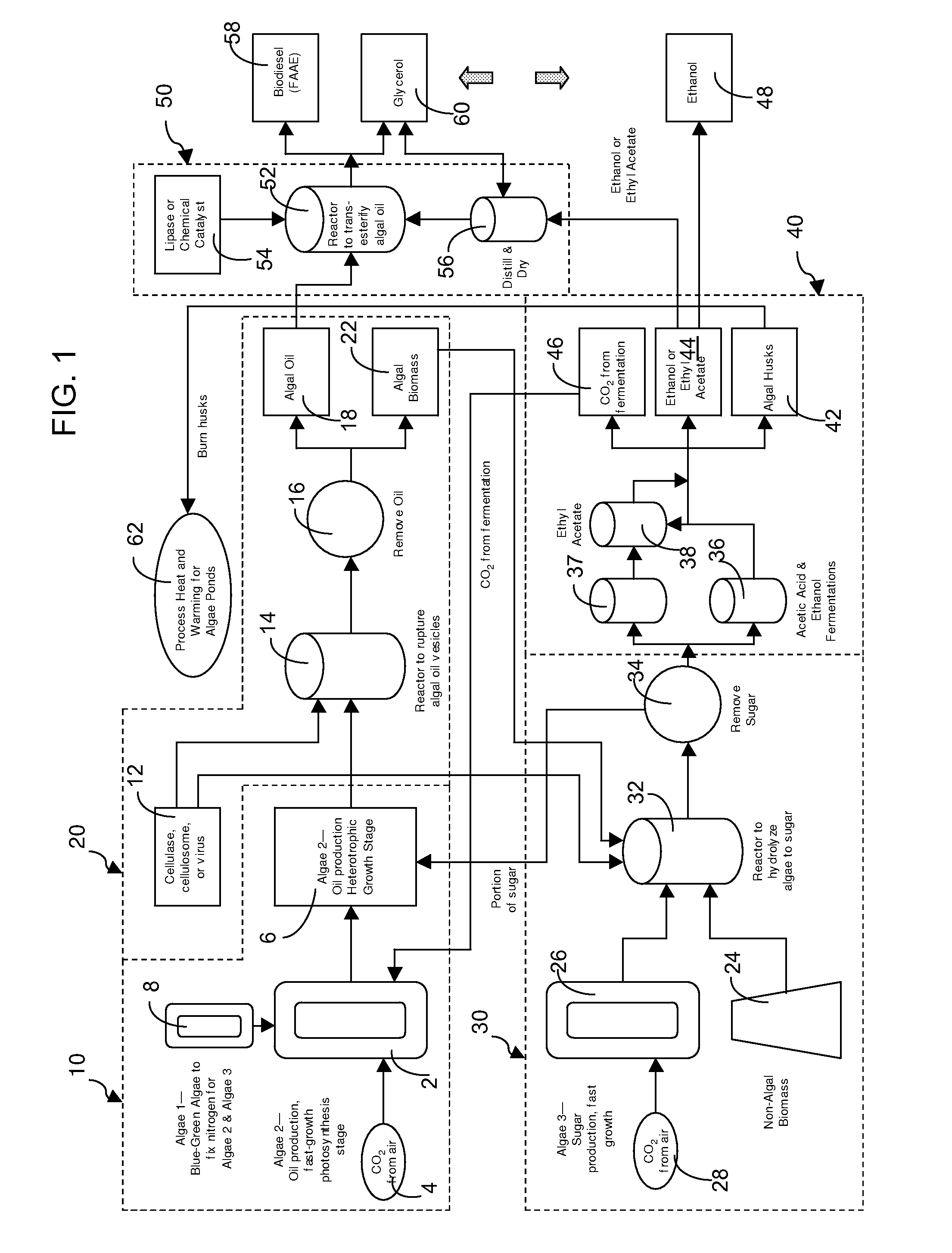 Integrated processes and systems for production of biofuels using algae