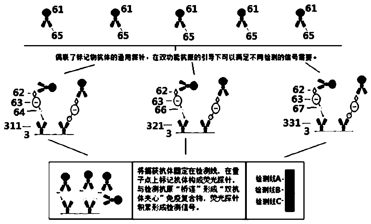 Antibody array card for detecting three mycotoxins by using difunctional antigen-guided universal signal