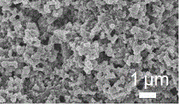 Metal organic framework film and preparation method therefor