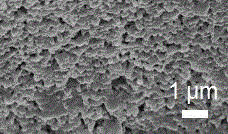 Metal organic framework film and preparation method therefor