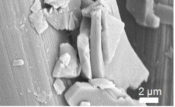 Metal organic framework film and preparation method therefor