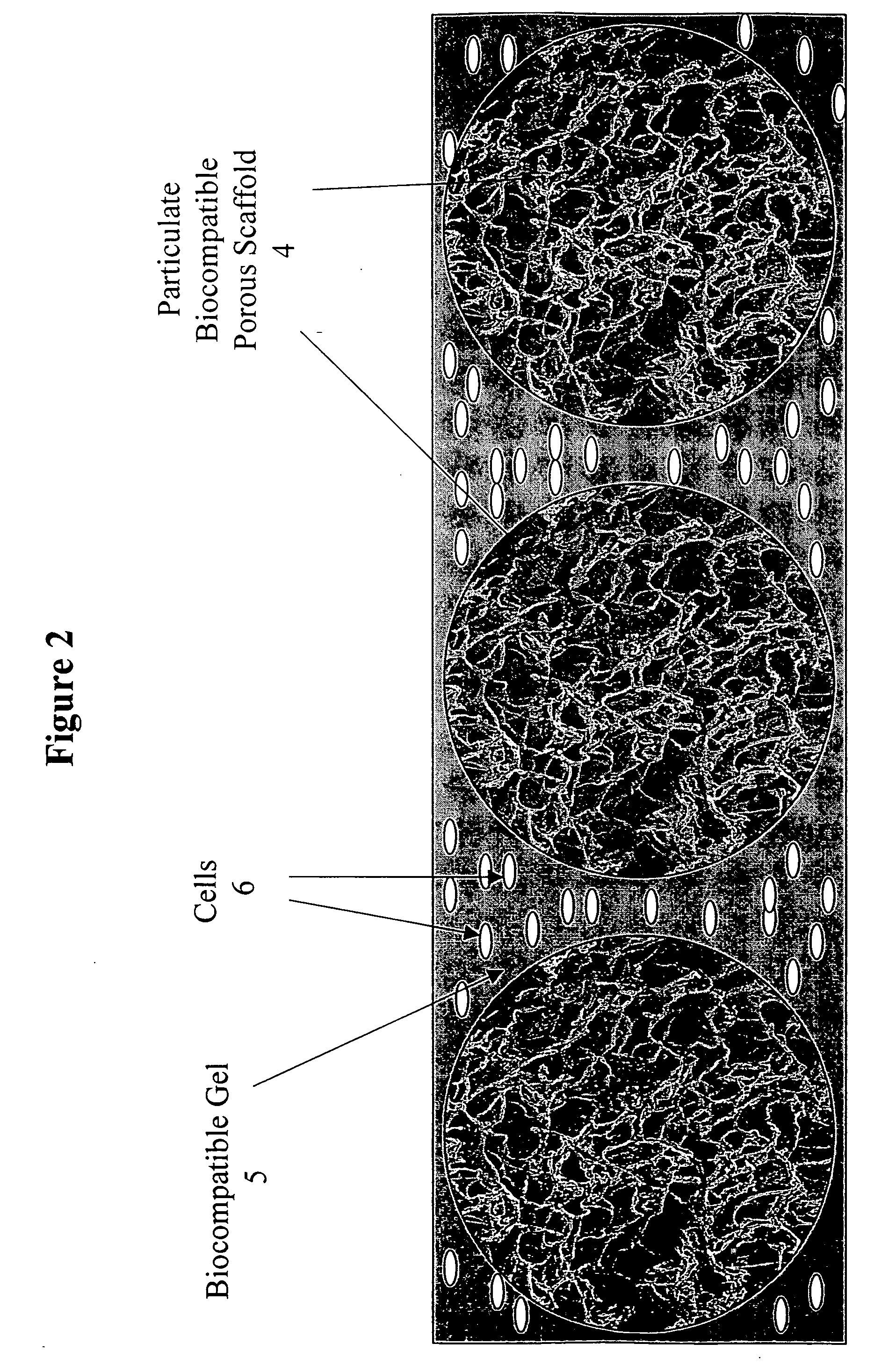 Tissue composites and uses thereof