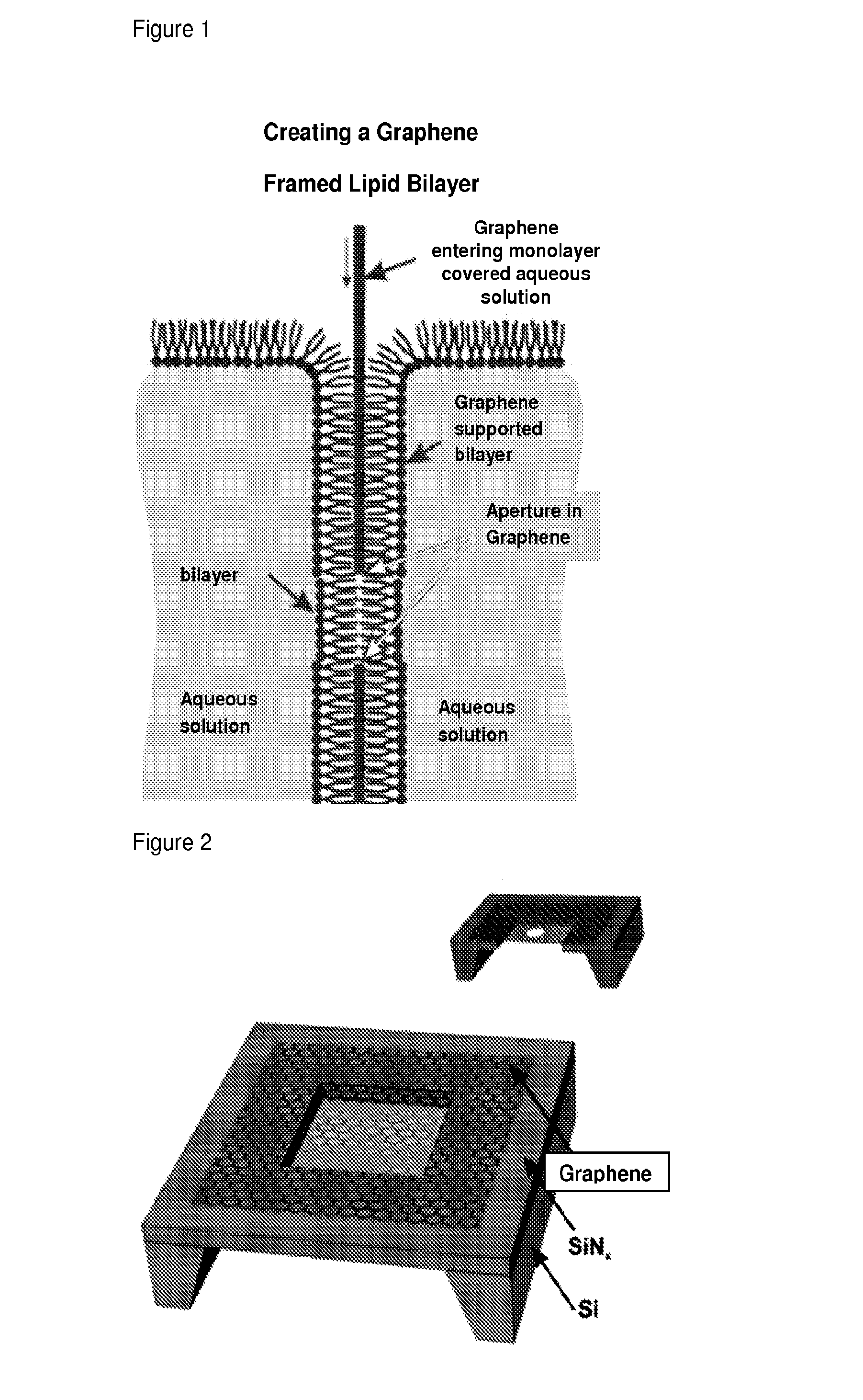 Nanopore device with graphene supported artificial lipid membrane