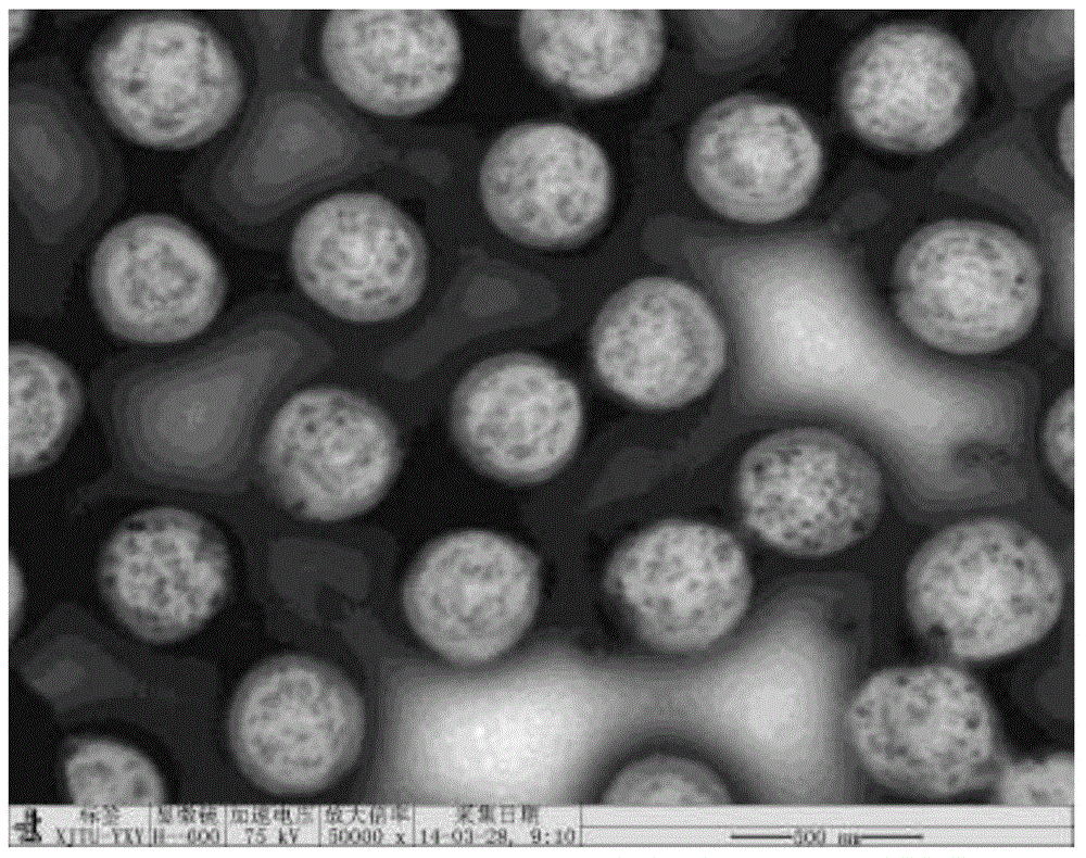 Preparation method of poly(N-isopropylacrylamide-methacrylic acid) porous microspheres with magnetic field and temperature dual responsiveness