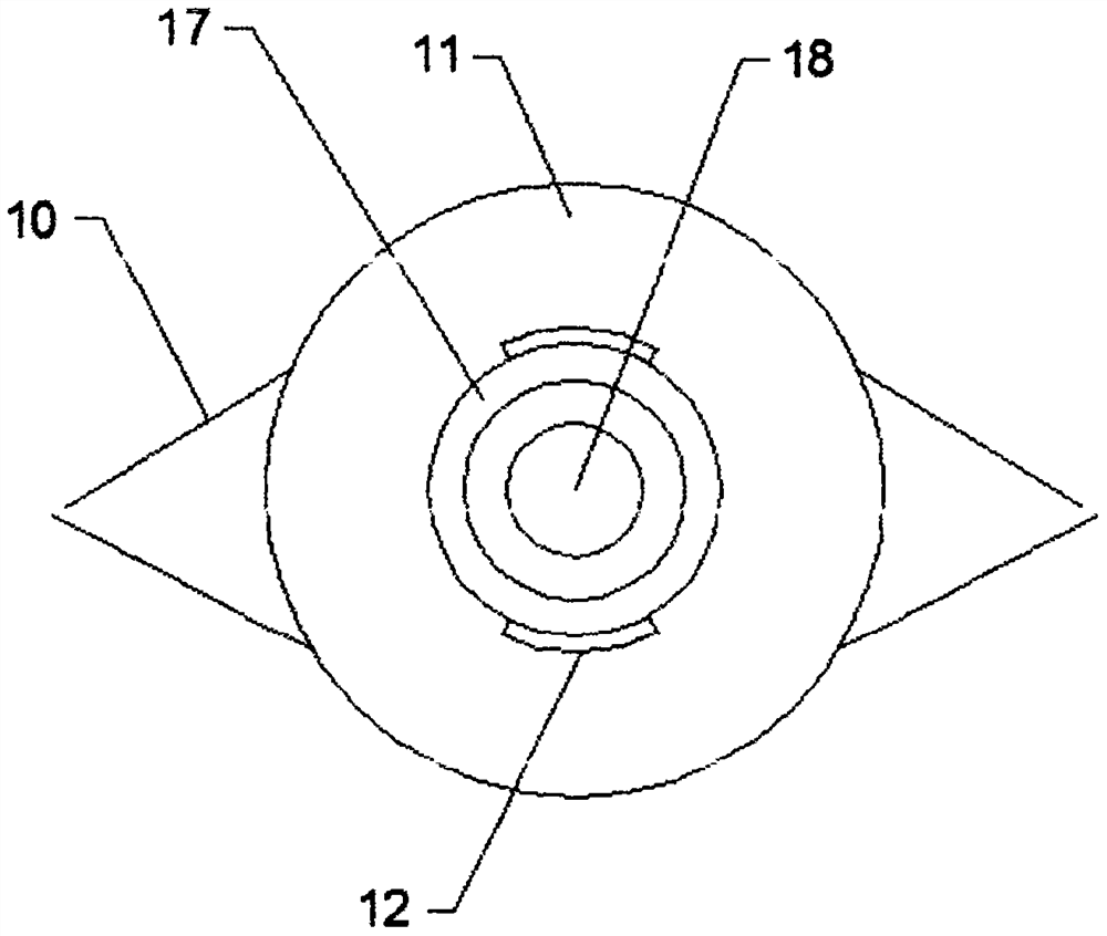 A vacuum device for rice bags