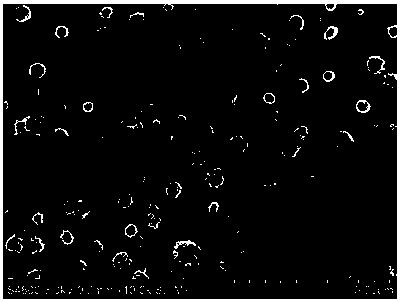 A preparation method of MgCl2-doped annulus γ-phase polyvinylidene fluoride-based composite film