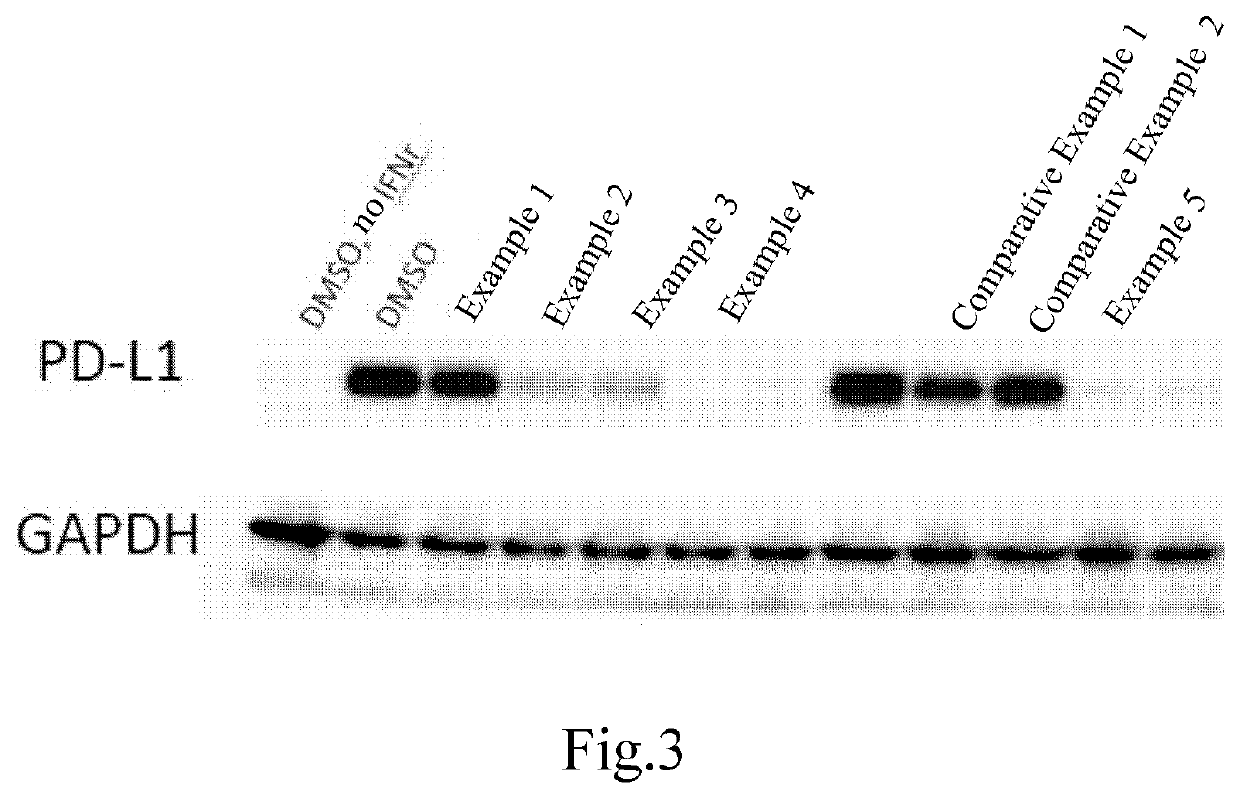 Vinylpyridine carboxamide compound as pd-l1 immunomodulator