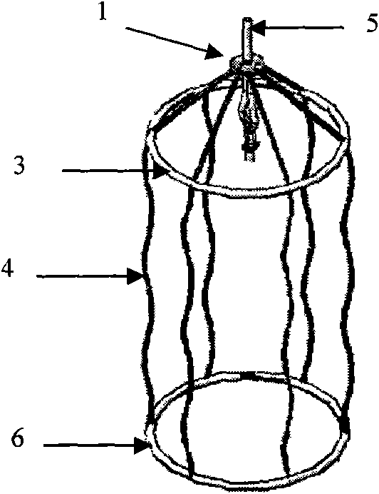 Scallop breeding cage with automatic underwater surface cleaner