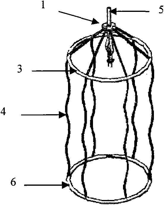 Scallop breeding cage with automatic underwater surface cleaner