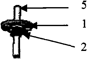 Scallop breeding cage with automatic underwater surface cleaner