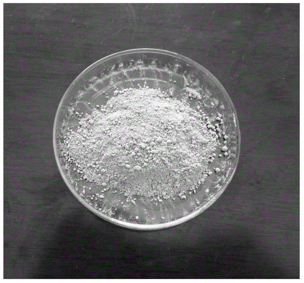 A kind of environment-friendly thiamethoxam water-soluble powder and preparation method thereof