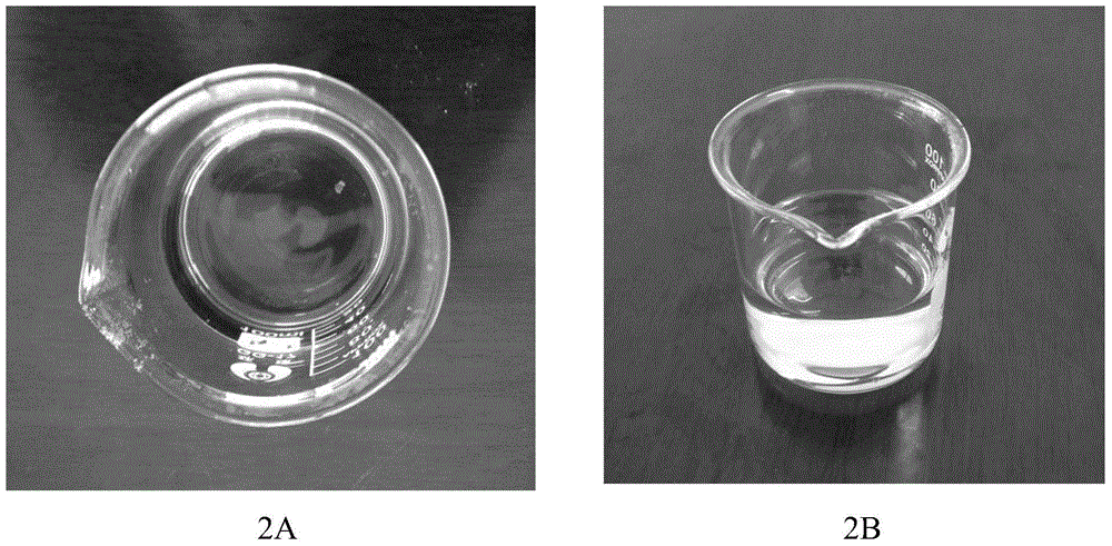 A kind of environment-friendly thiamethoxam water-soluble powder and preparation method thereof