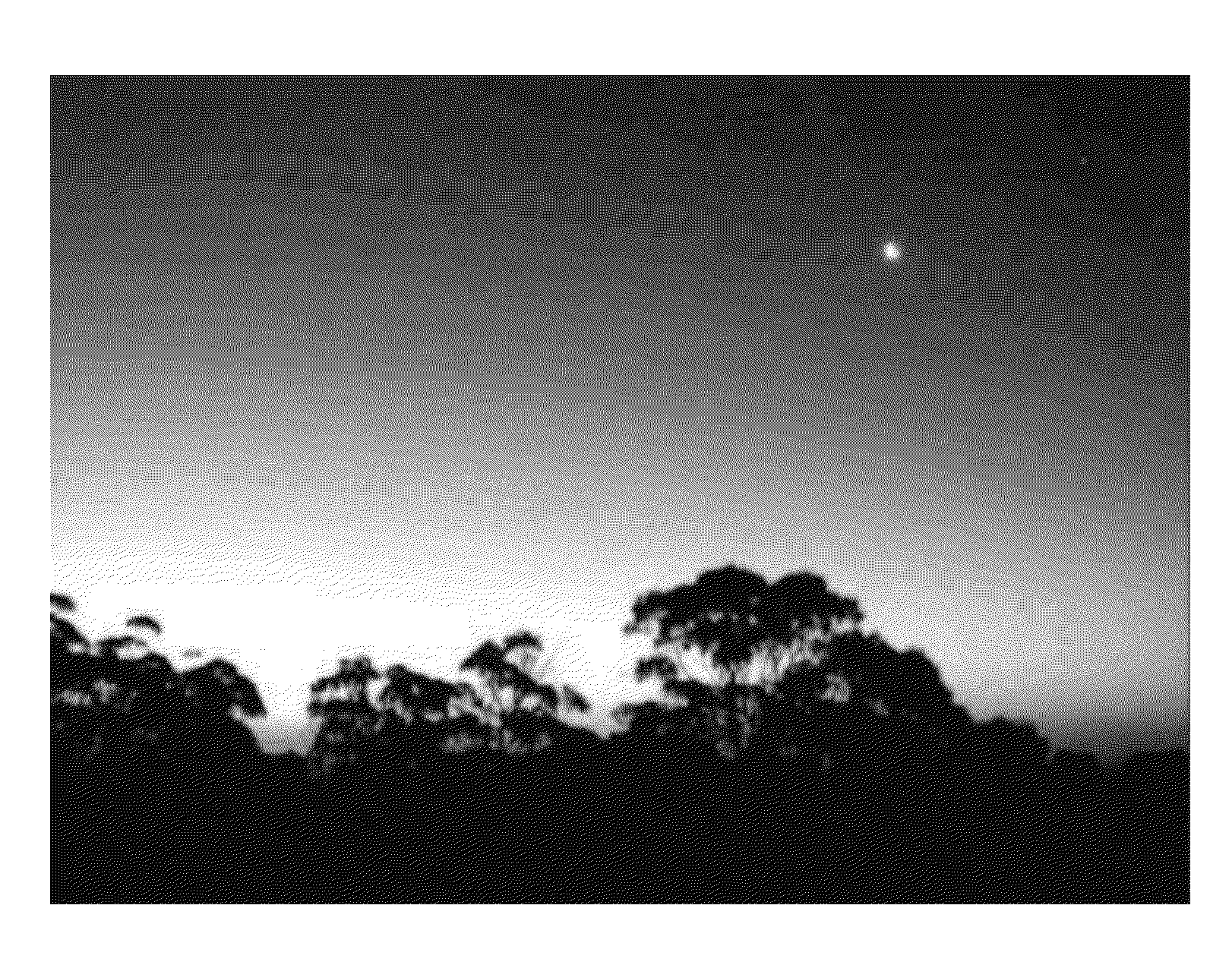 Real-Time Solar Observations