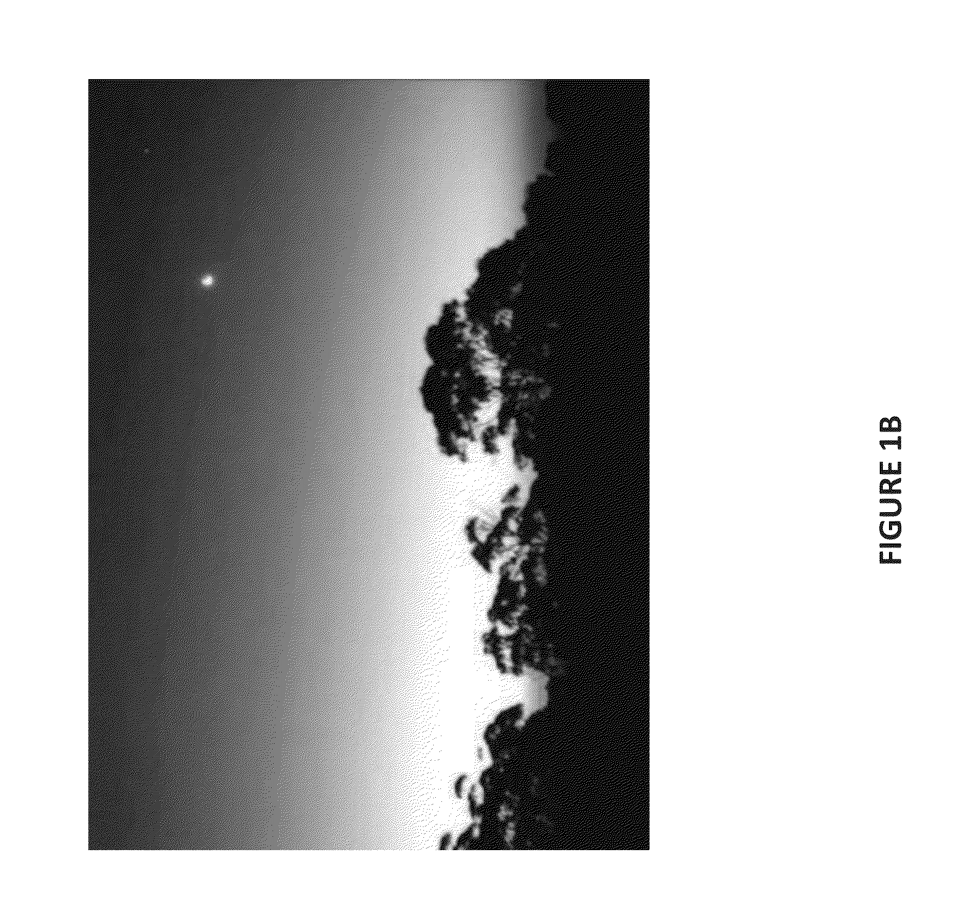 Real-Time Solar Observations