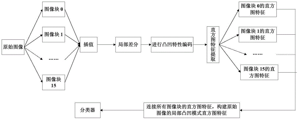 Face image convex-and-concave pattern texture feature extraction and recognition method