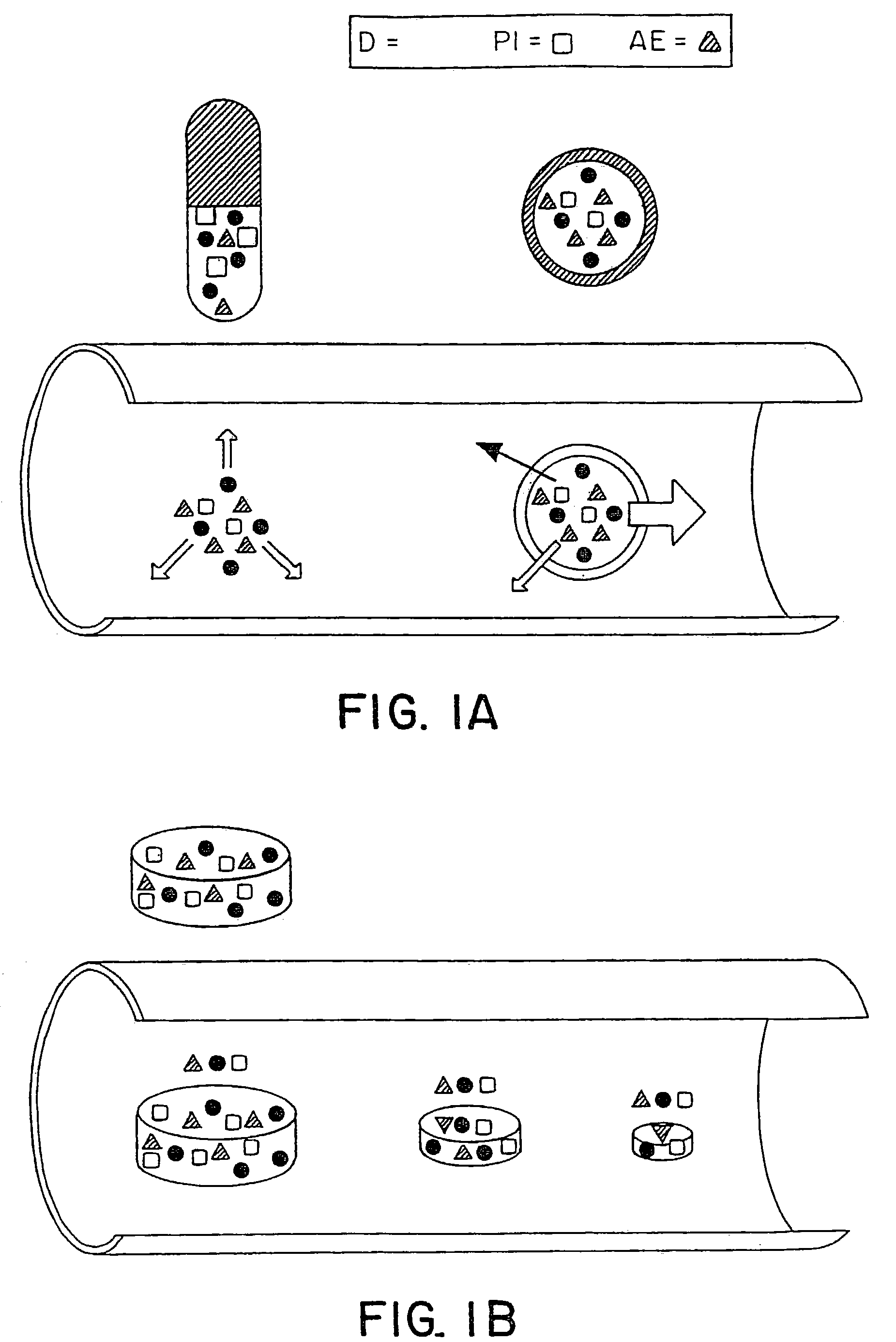 Controlled release oral drug delivery system