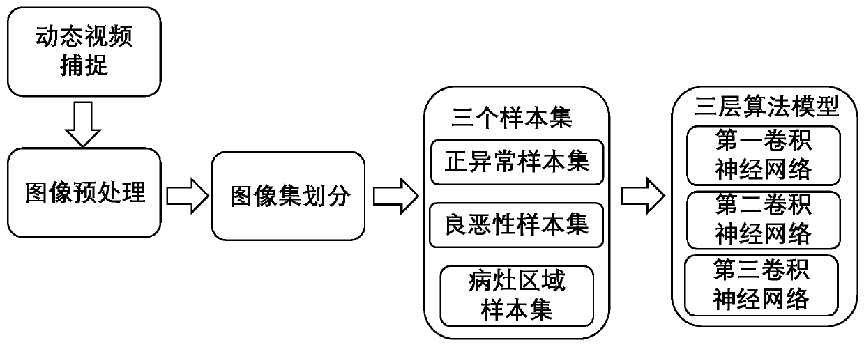 Ultrasonic image processing method and system, equipment and storage medium