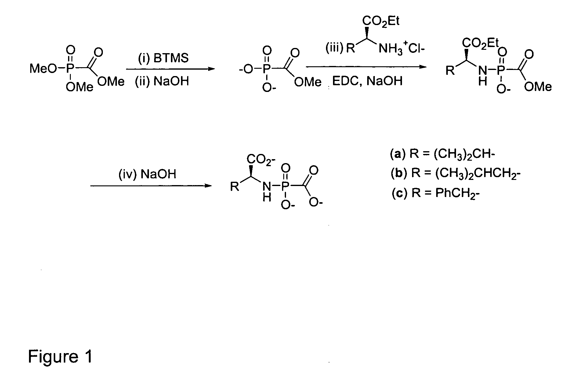 Cidofovir peptide conjugates as prodrugs