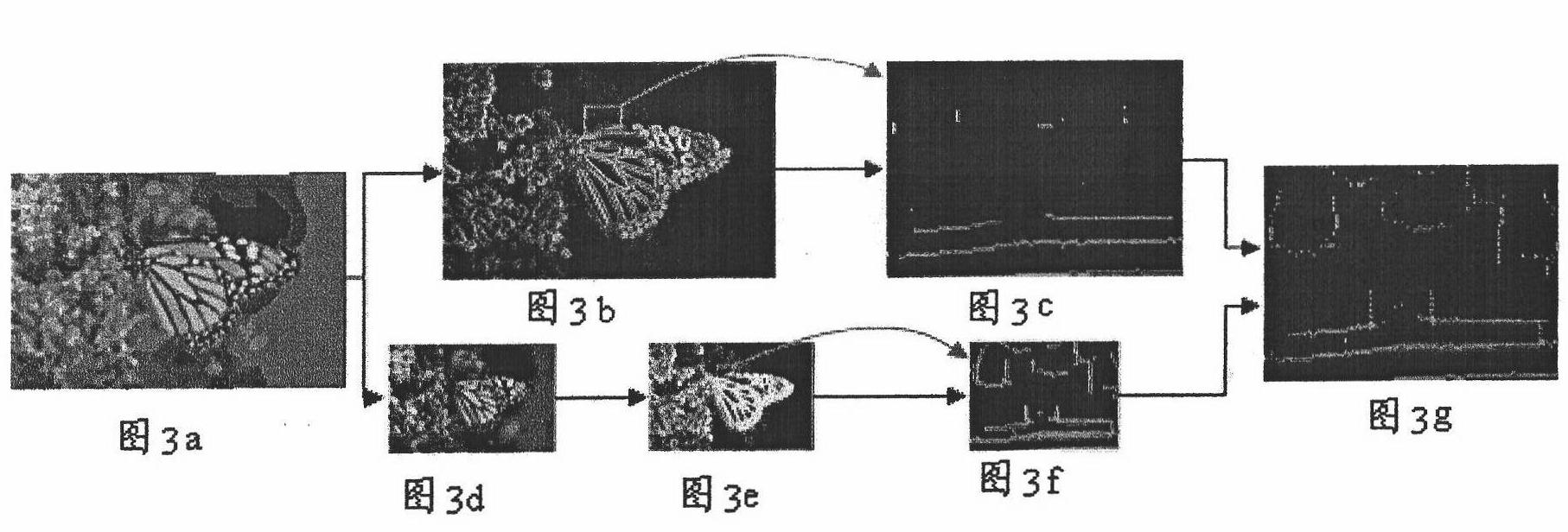 Image reference-free quality evaluation method and system based on gradient profile