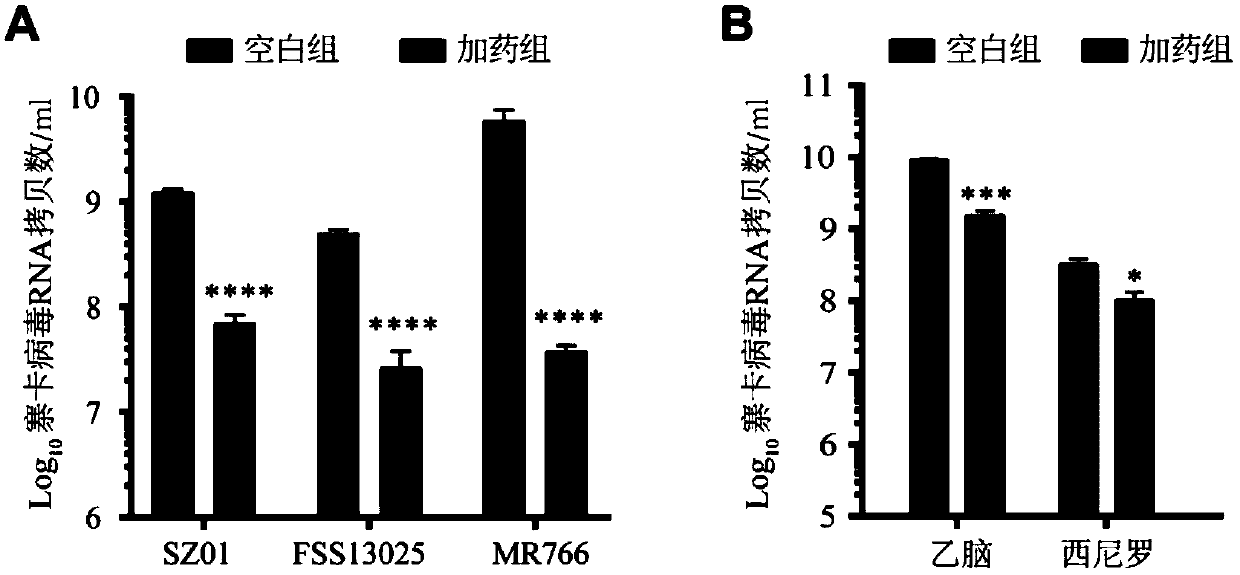 Application of enoxacin in prevention and/or treatment of flavivirus infection