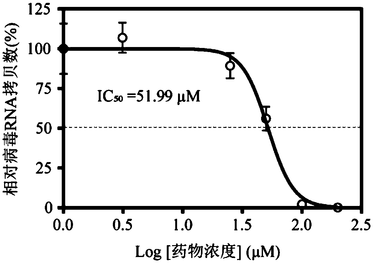 Application of enoxacin in prevention and/or treatment of flavivirus infection