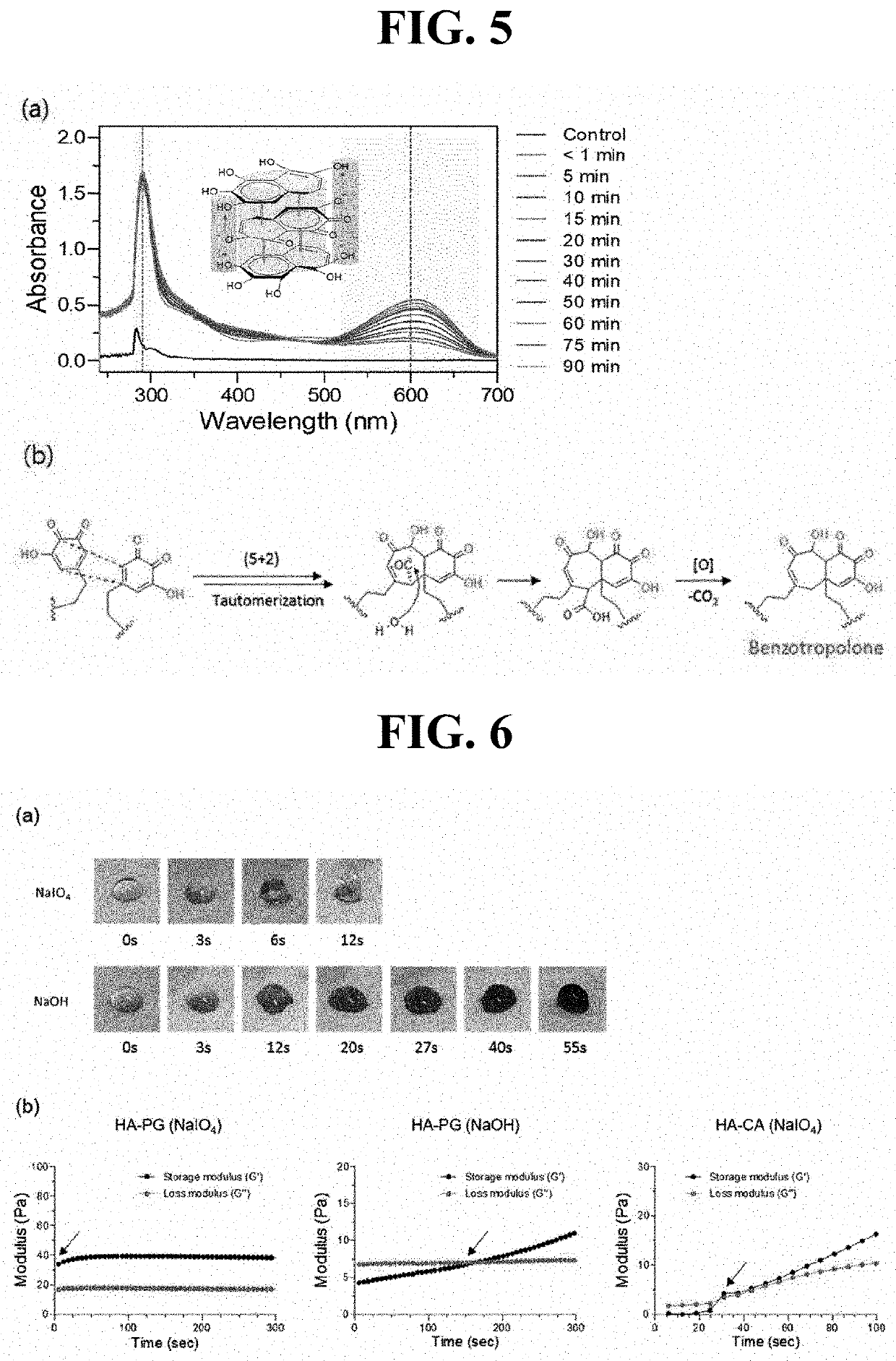 Hyaluronic acid derivative and use thereof