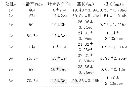 Seedling-raising method for increasing high-density survival rate of stem-cutting polygonum multiflorum