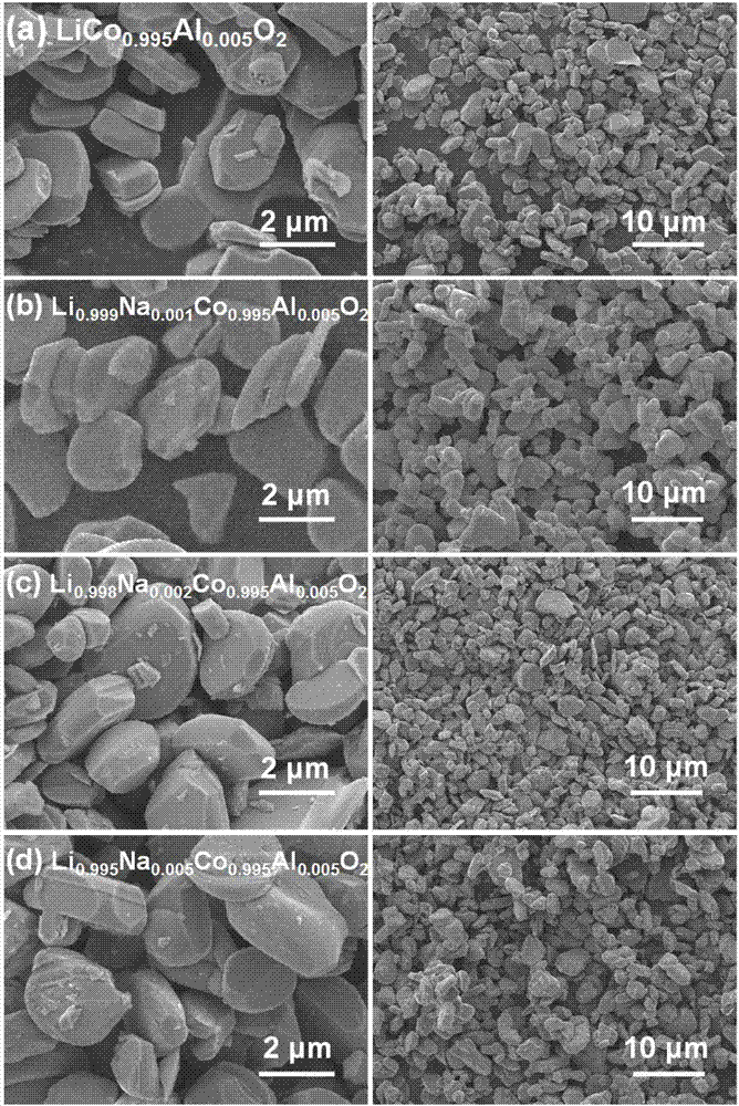 Anode material for lithium ion battery and preparation method thereof