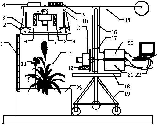 Nondestructive detection device and method for facility crop growth information