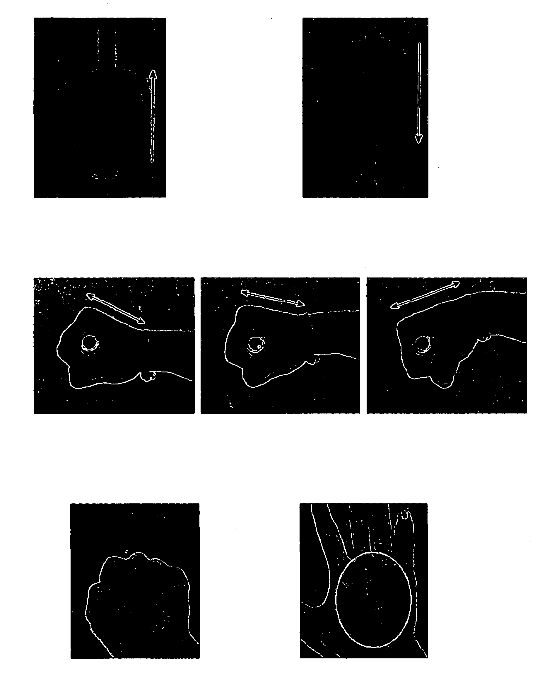 Vein pattern recognition based biometric system and methods thereof