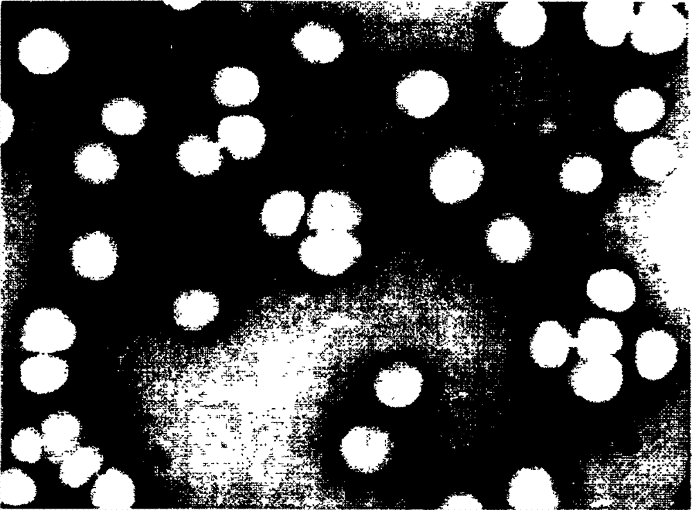 High solid content core-shell structure nano acrylic ester micro-emulsion and synthetic method thereof