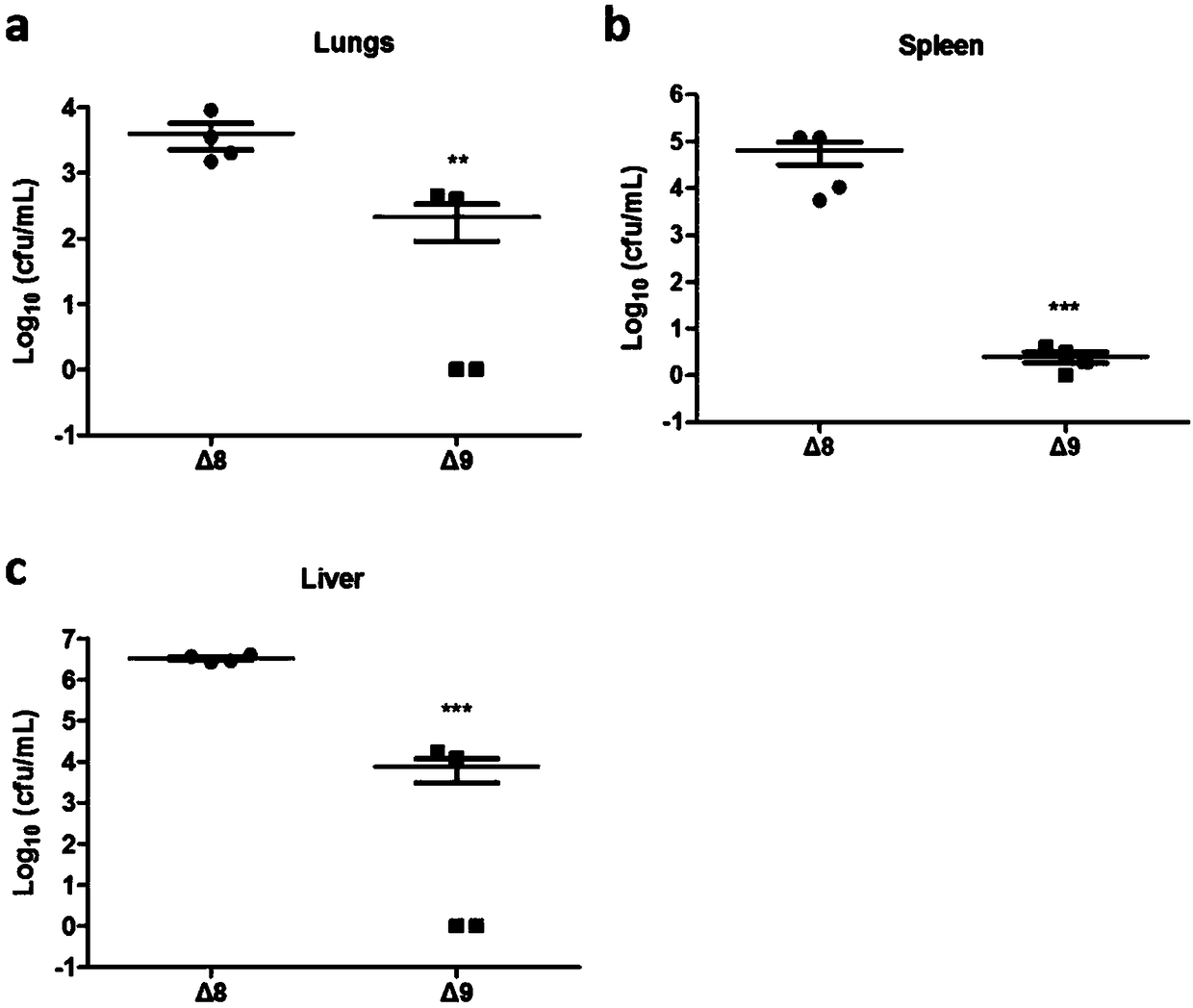 Building method of attenuated pseudomonas aeruginosa and application of attenuated pseudomonas aeruginosa to protein transfection