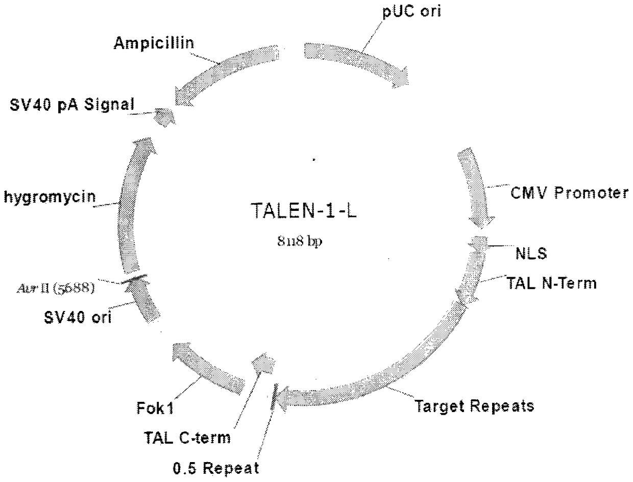 Methods and applications for screening ultra-low fucose cell lines