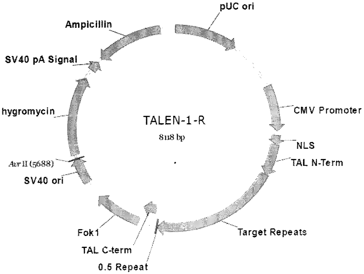 Methods and applications for screening ultra-low fucose cell lines