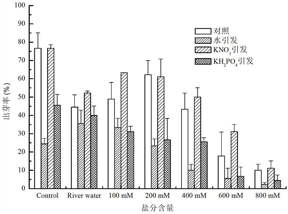 Method for restoring degraded coastal wetland in Yellow River old riverway areas