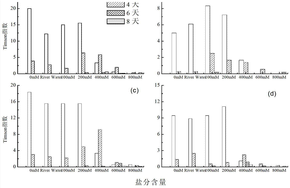 Method for restoring degraded coastal wetland in Yellow River old riverway areas