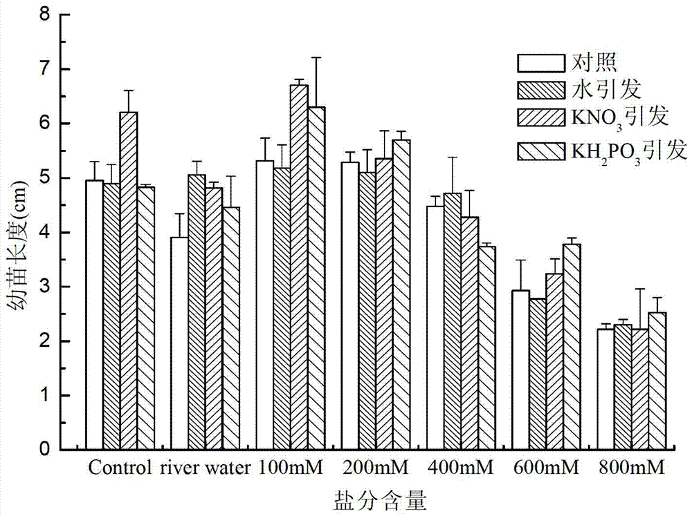 Method for restoring degraded coastal wetland in Yellow River old riverway areas